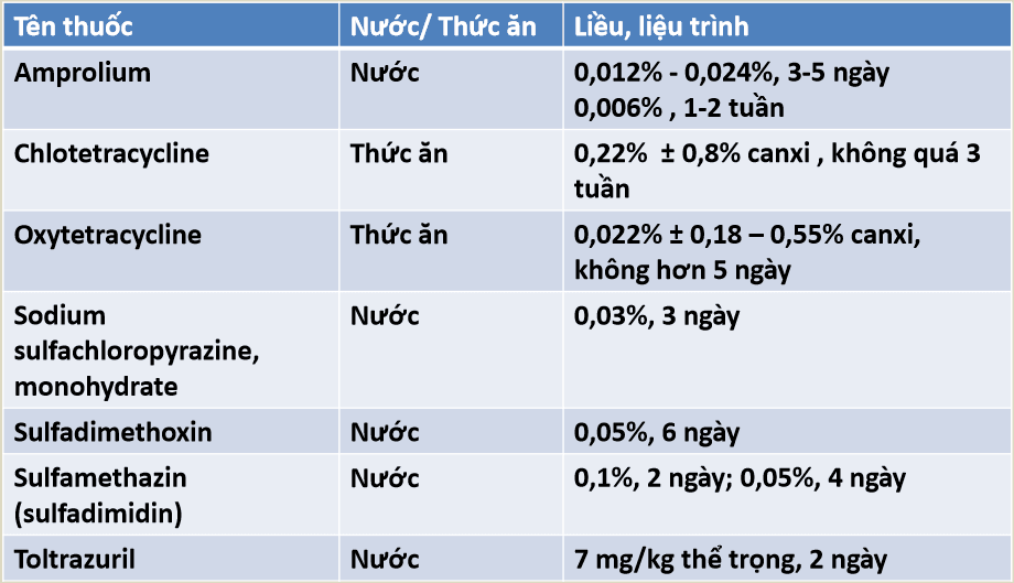 Bệnh cầu trùng ở gà: Thuốc trị bệnh cầu trùng