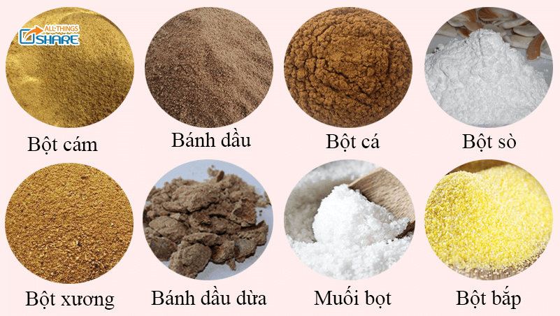 Có nên sử dụng bột cá trong thức ăn của gia cầm?